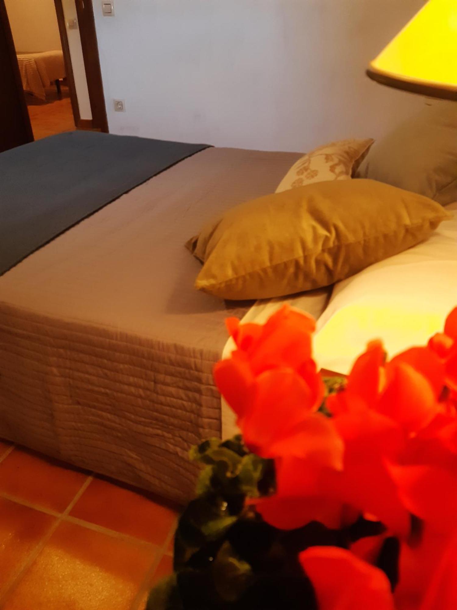 Musas Gastro Casa Rural Apartment Valdealgorfa Екстериор снимка