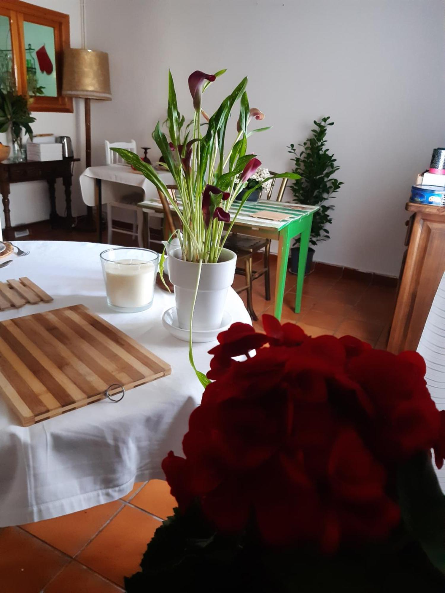 Musas Gastro Casa Rural Apartment Valdealgorfa Екстериор снимка
