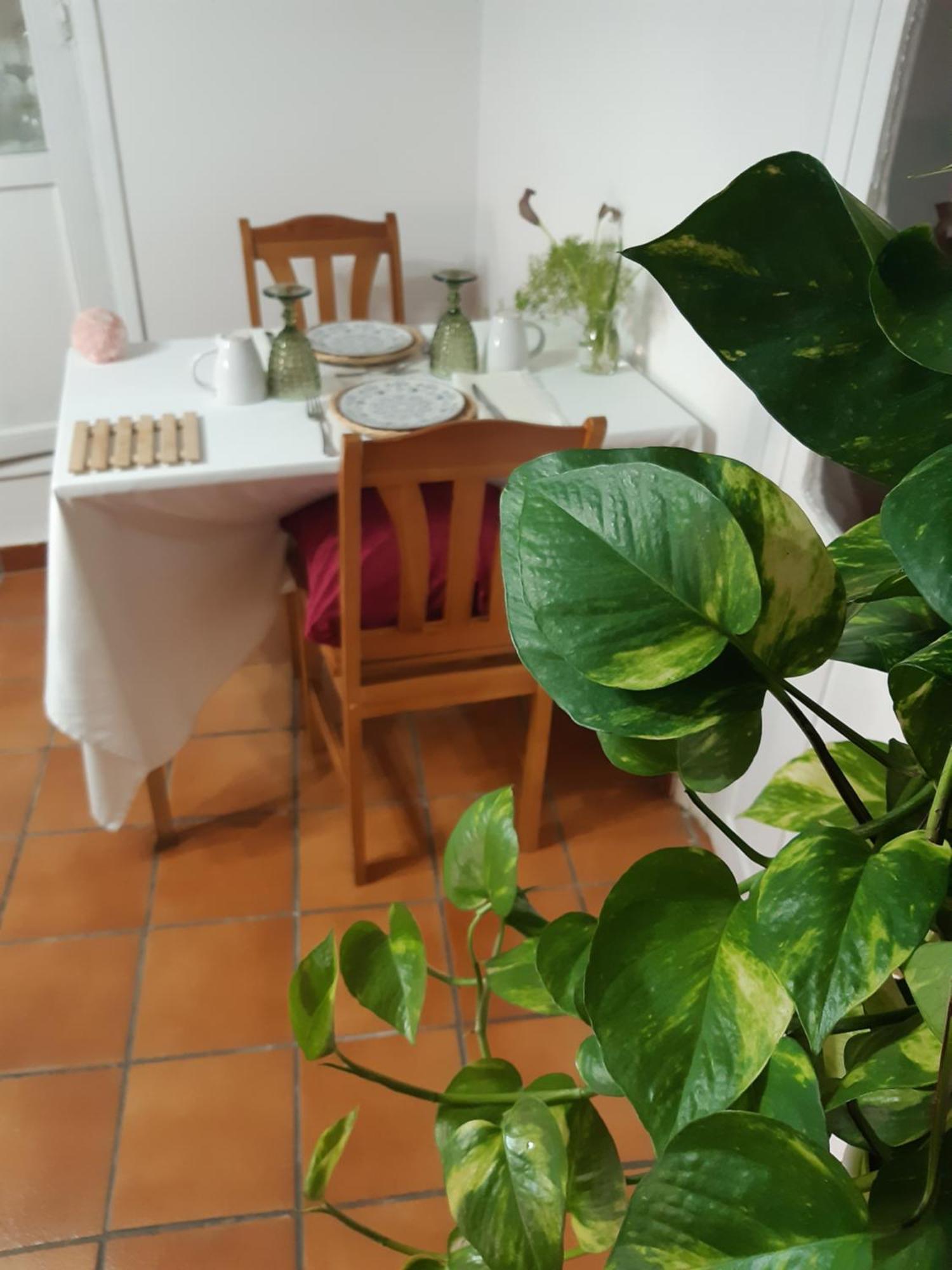 Musas Gastro Casa Rural Apartment Valdealgorfa Екстериор снимка