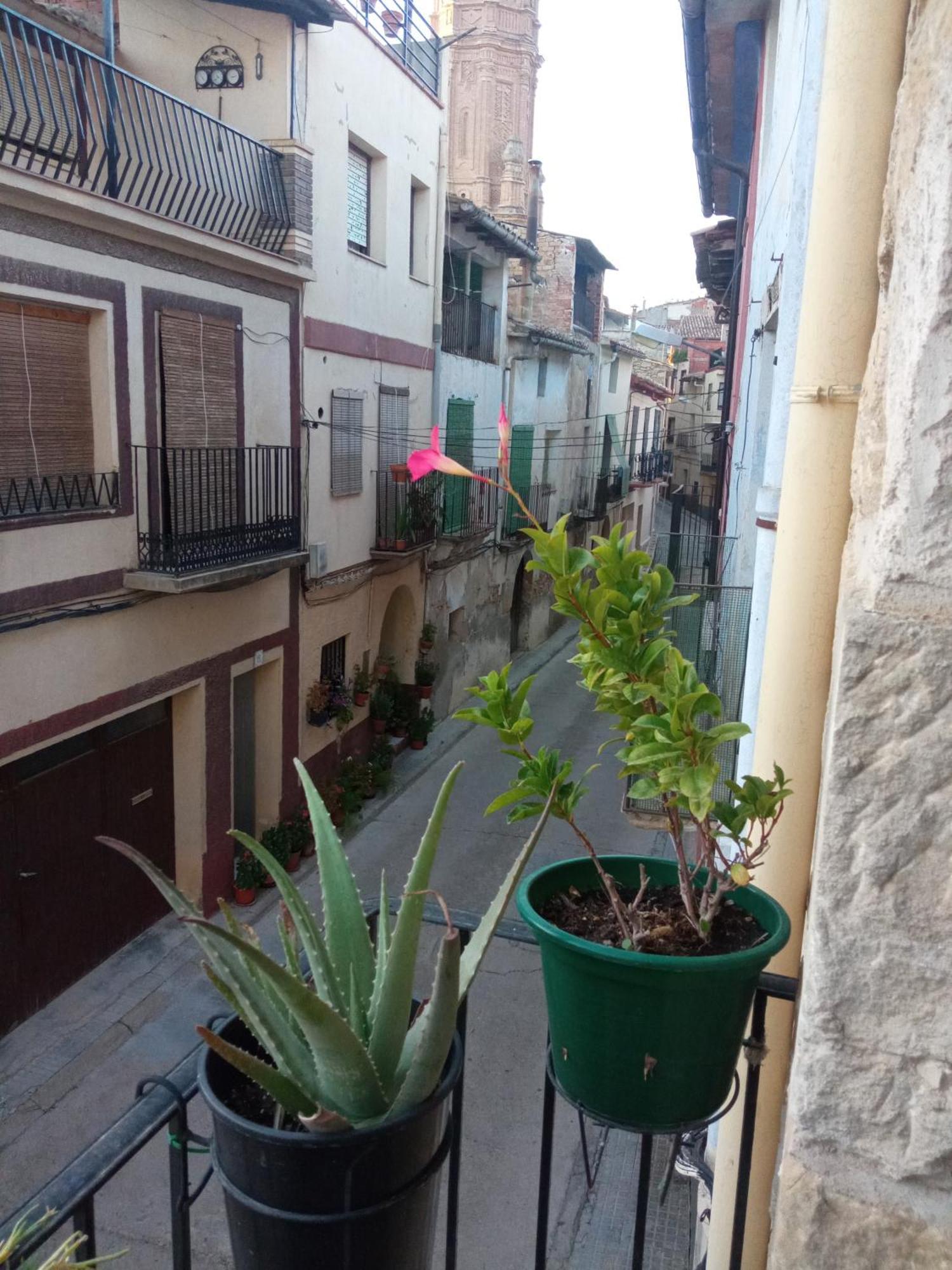 Musas Gastro Casa Rural Apartment Valdealgorfa Екстериор снимка